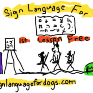 no in sign language for dogs